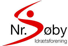 nsif logo